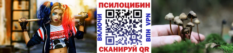 купить   Подольск  Псилоцибиновые грибы MAGIC MUSHROOMS 